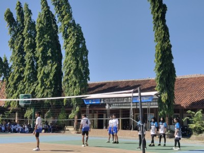 Volly